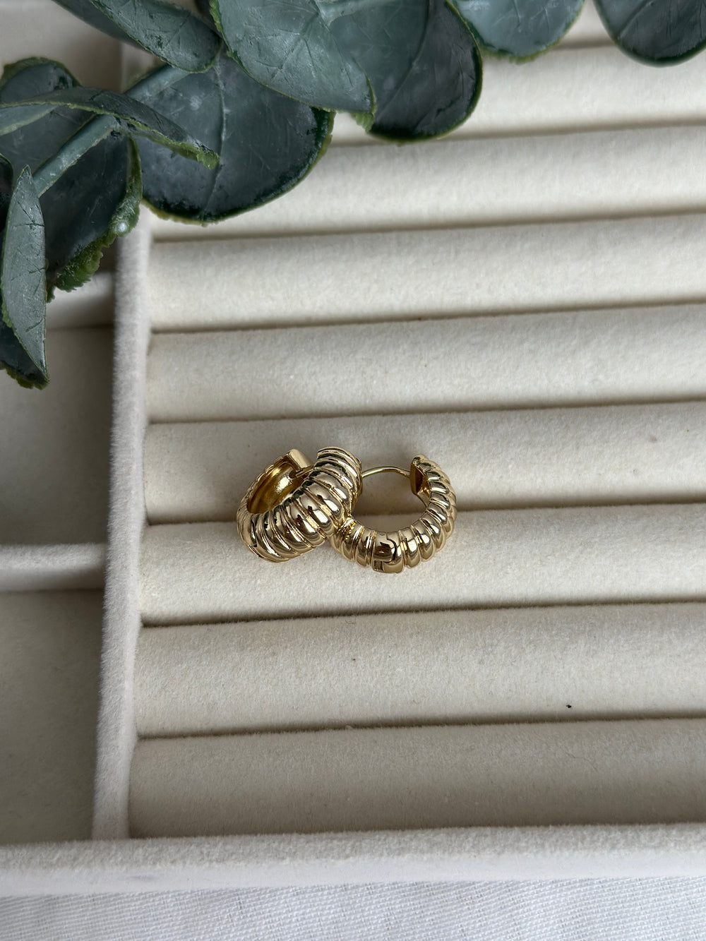 Halka İstiridye Küpe