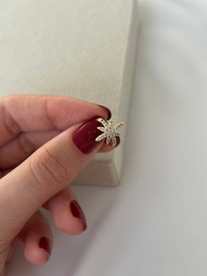 Altın Kaplama Kuzey Yıldızlı Kıkırdak