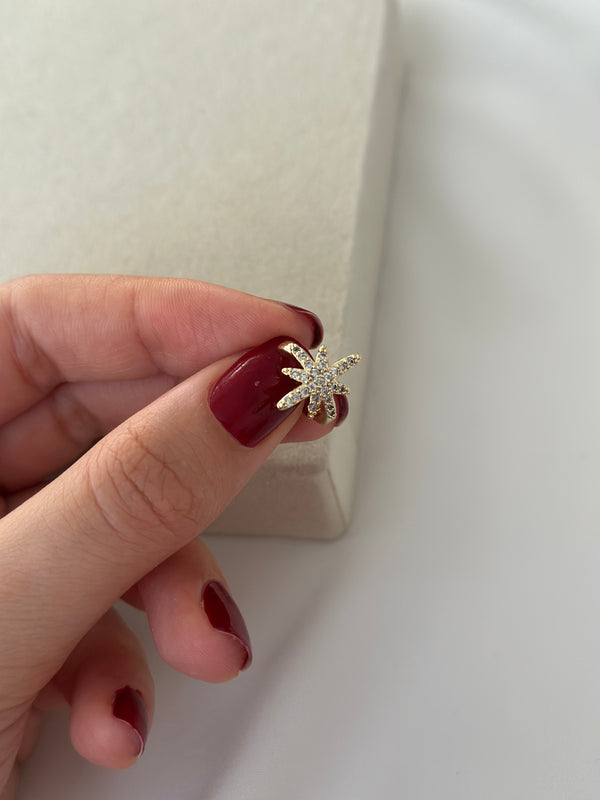 Altın Kaplama Kuzey Yıldızlı Kıkırdak