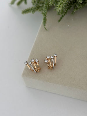 Dörtlü Görünüm Ross Küpe