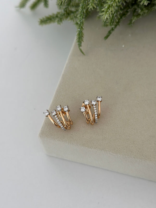 Dörtlü Görünüm Ross Küpe