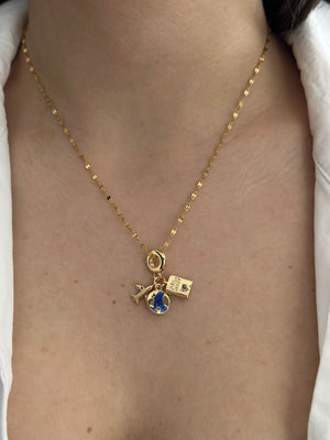 Çelik Pasaport-Uçak-Dünya Charmlı Kolye