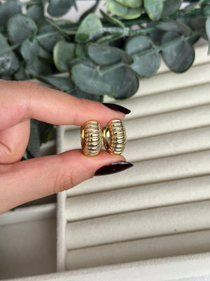 Halka İstiridye Küpe