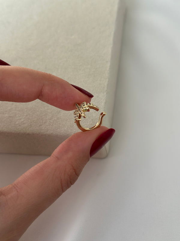 Altın Kaplama Kuzey Yıldızlı Kıkırdak