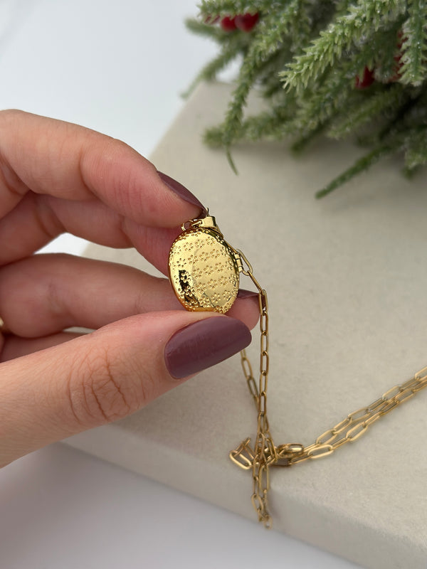 Kapaklı Ataç Zincir Kuzey Yıldızlı Kolye