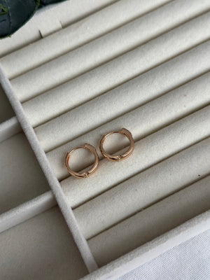 Rose Mini Taş Detay Küpe